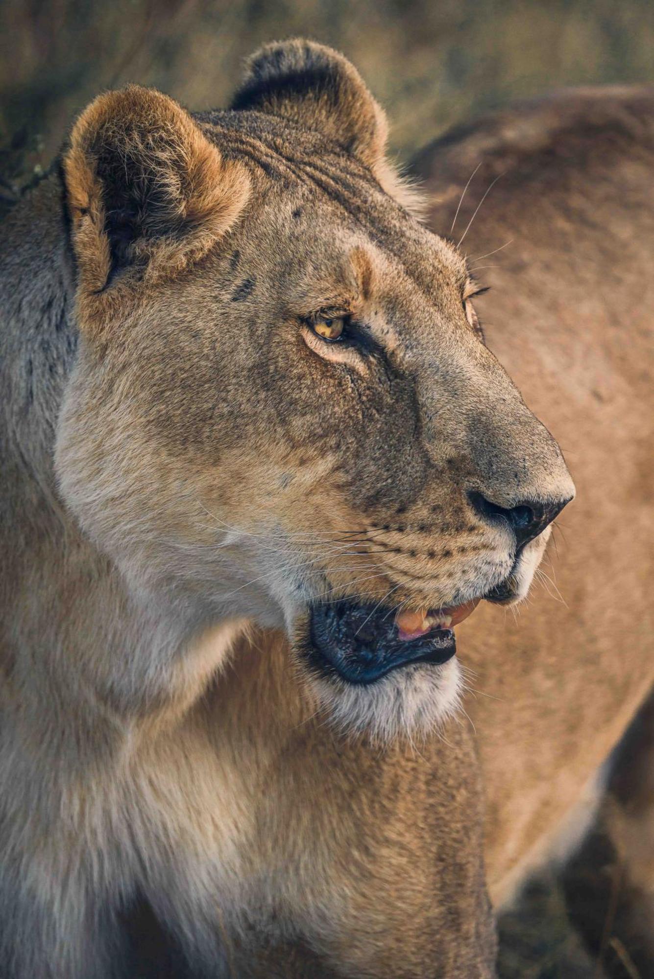 Grassland Safari Lodge Ghanzi Εξωτερικό φωτογραφία